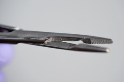in Silver (Base Model)