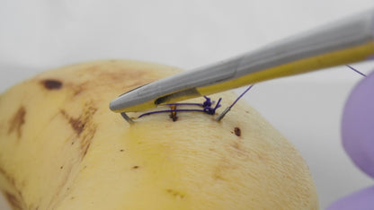 Castro Viejo with Integrated Scissors