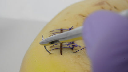 Castro Viejo with Integrated Scissors